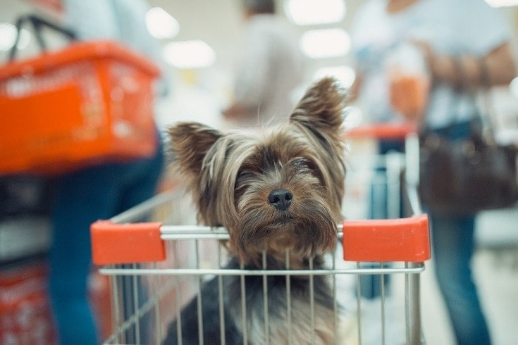 Czy polityka Trader Joe's różni się w zależności od lokalizacji?