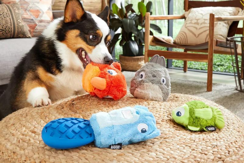6. Dr. Catch Dog Puzzle Toy