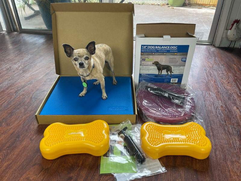 FitPaws Balance Pad