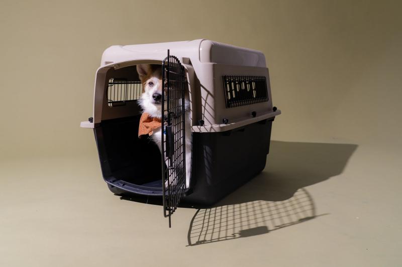 8. PetAmi Premium Airline Approved Soft-Side Travel Carrier dla psa i kota