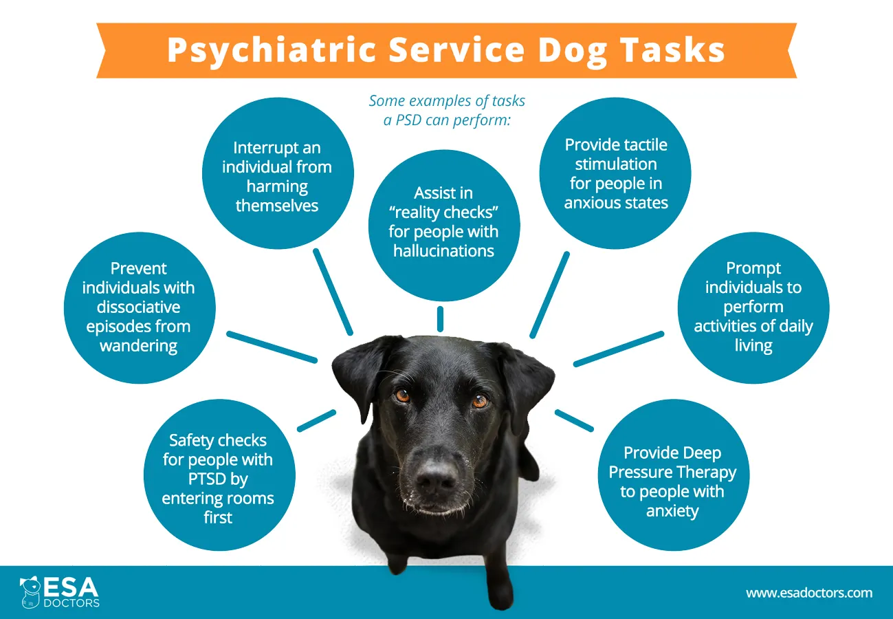 Czym są psy psychiatryczne?