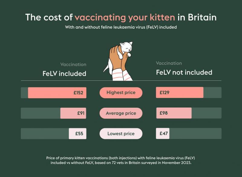 Koszty szczepień kotów w Wielkiej Brytanii (z uwzględnieniem FeLV)