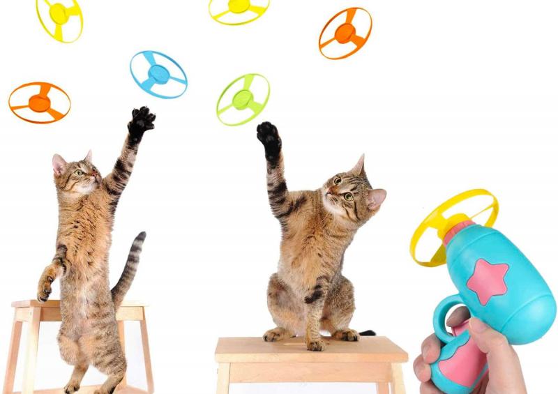 10 najlepszych zabawek dla inteligentnych kotów w 2024 roku - recenzje i najlepsze propozycje