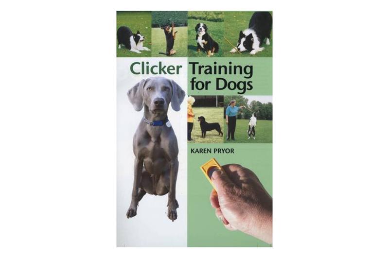 10 najlepszych książek o szkoleniu psów ratowniczych w 2024 roku - recenzje i najlepsze pozycje