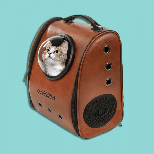 3. Petsfit Expandable Large Cat Carrier - Najlepszy wybór