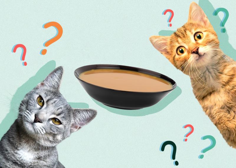Czy koty mogą jeść rosół z kurczaka? Fakty zatwierdzone przez weterynarza i często zadawane pytania