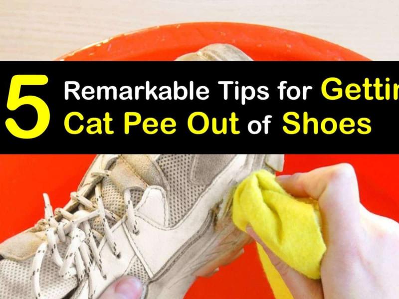 Jak usunąć zapach kociego moczu i plamy ze skórzanych butów: Skuteczne metody