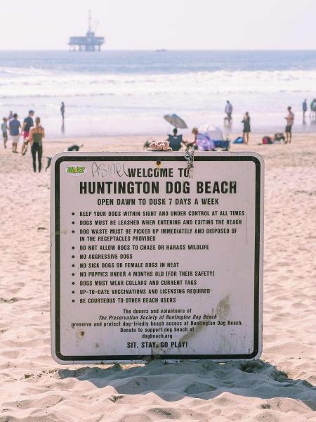 Plaża Huntington dla psów