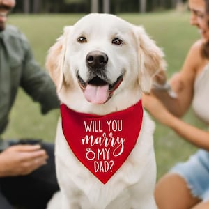 16 najlepszych świątecznych bandan dla psów w 2024 roku - recenzje i najlepsze propozycje