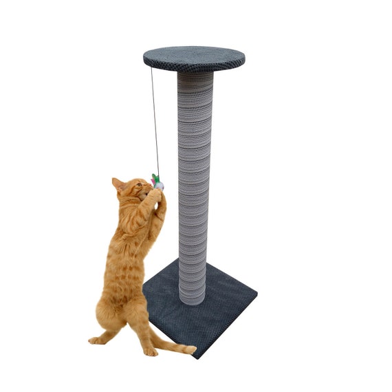 1. Aibuddy Cat Scratcher Pad & Lounge Bed - najlepszy ogólnie