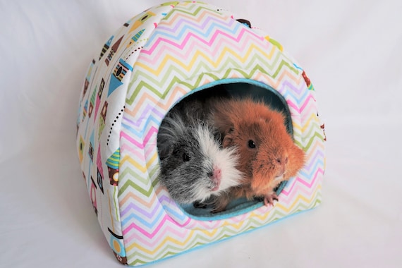 1. Plany łóżek dla świnek morskich w kształcie pączka od Guinea Pig Cages