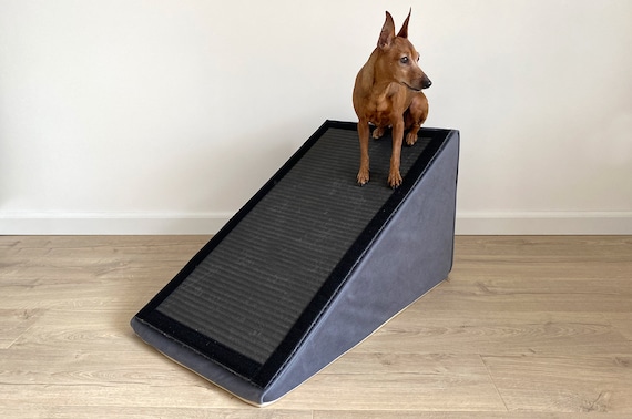 8. Pet Gear Stramp Stair and Ramp Combination