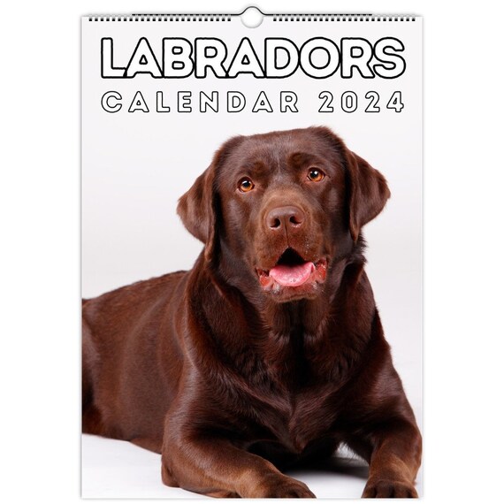 Labrador retriever szczenięta na sprzedaż w Luizjana: Lista hodowców 2024
