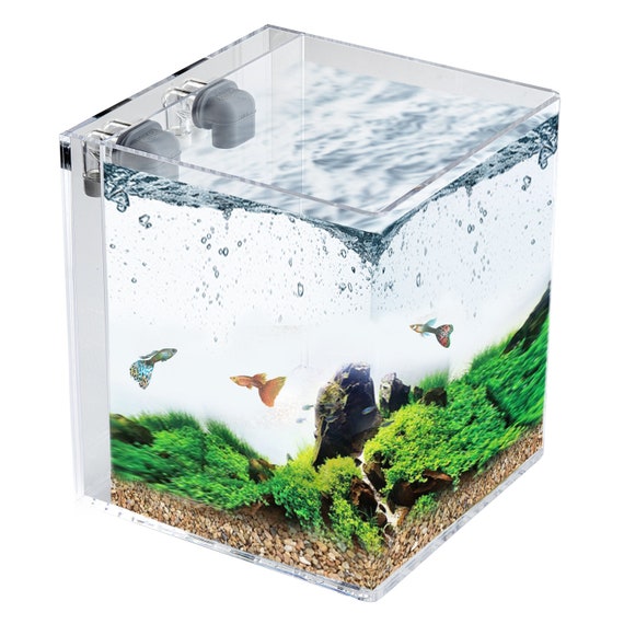 5. SC Aquariums All-In-One Aquarium