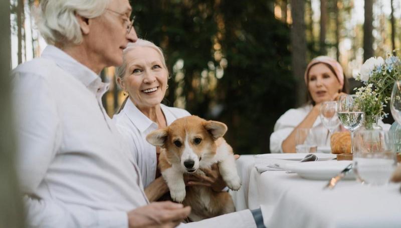 5 korzyści zdrowotnych ze zwierząt domowych dla osób starszych i seniorów - co warto wiedzieć?