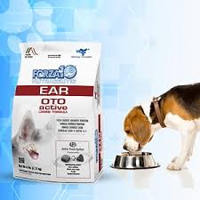 Jeśli Twój pies cierpi na infekcje uszu, znalezienie odpowiedniej karmy może pomóc złagodzić objawy i promować ogólny stan zdrowia uszu. Infekcje ucha mogą być spowodowane różnymi czynnikami, w tym alergiami, bakteriami i drożdżakami. Wybierając karmę dla psów, która rozwiązuje te podstawowe problemy, możesz wesprzeć układ odpornościowy psa i zmniejszyć ryzyko przyszłych infekcji.