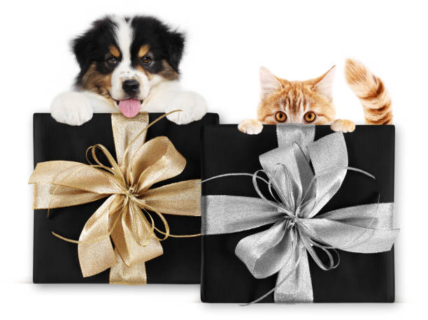 22 spersonalizowane prezenty dla właścicieli zwierząt (aktualizacja 2024)
