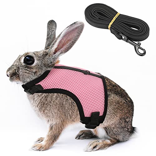 5. Brand B Rabbit Harness