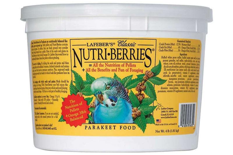 8. Great Choice Fortified Parakeet Food