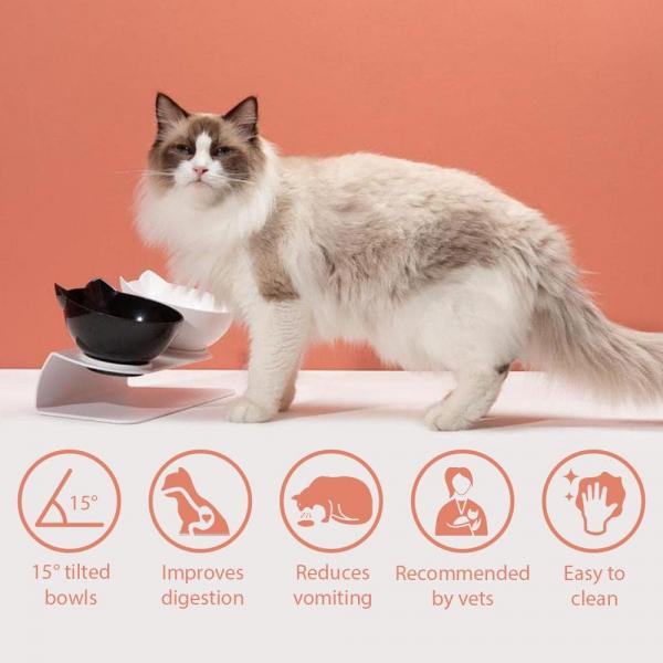 Czy miska dla kota zapobiegająca wymiotom działa? Zatwierdzone przez weterynarza fakty i często zadawane pytania