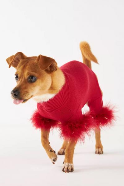 Przewodnik kupującego: Wybór idealnego świątecznego swetra dla psa