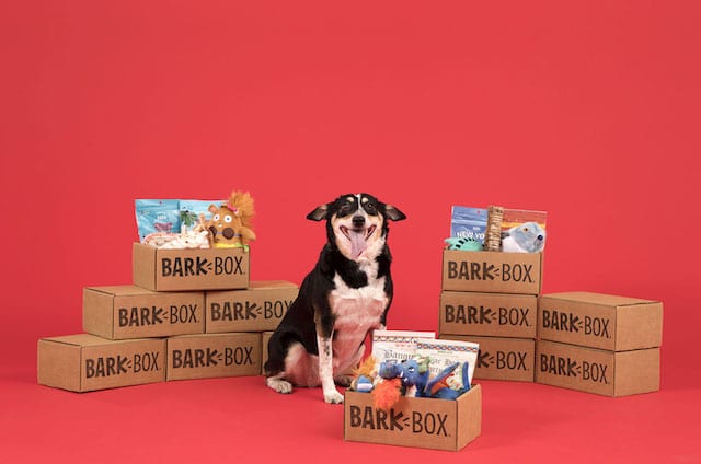 Co zawiera Barkbox? Zawartość, koszt i najczęściej zadawane pytania