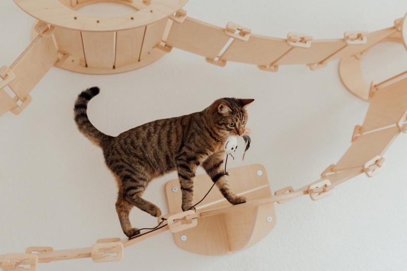 5. SUOXU Cat Toys LED Pointer 7 w 1 zabawka dla kota