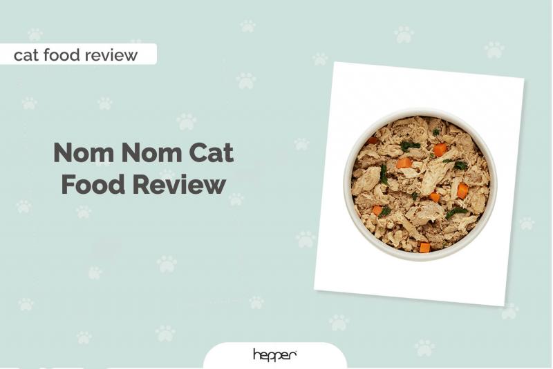 Przegląd karmy dla kotów Nom Nom 2024: Plusy, minusy i wycofanie z rynku