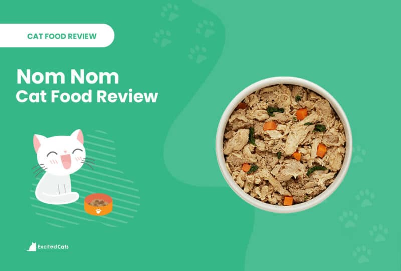 Smalls vs. Nom Nom Cat Food: Nasze szczegółowe porównanie 2024
