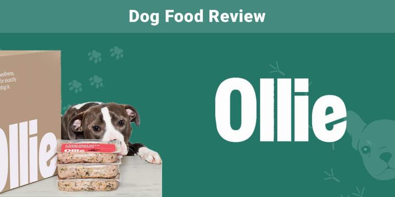 Ollie Fresh Dog Food Review 2024: Plusy, minusy i ostateczny werdykt