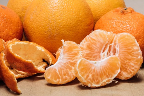Czy smoki brodate mogą jeść pomarańcze? Zatwierdzone przez weterynarza fakty żywieniowe i FAQ