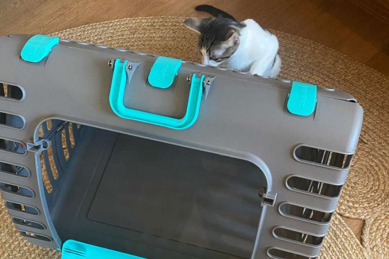 2. Cheering Pet Portable Cat Condo - najlepsza wartość