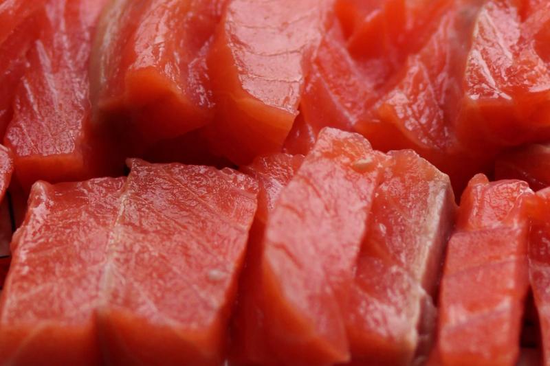Czy powinienem karmić mojego psa tuńczykiem?