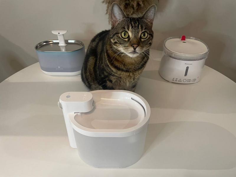 4. PetSafe Sedona Ceramiczna fontanna dla psów i kotów