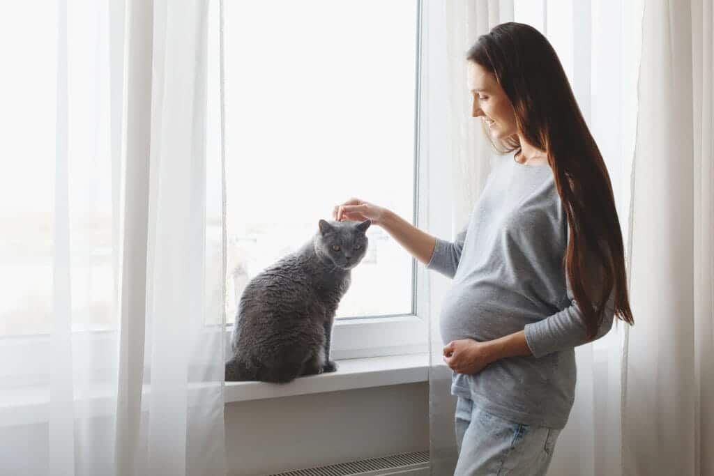 Dlaczego koty atakują kobiety w ciąży? 5 prawdopodobnych powodów