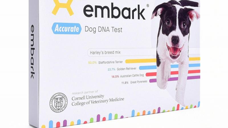 Jak dokładnie działają testy DNA psów?