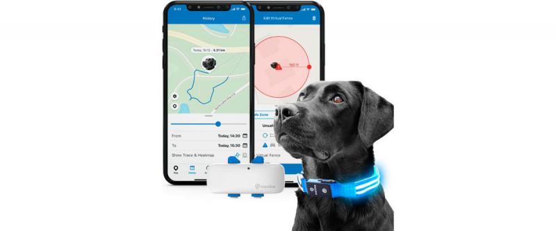 Recenzja Tractive Dog GPS Tracker 2024: Wartość, wady i zalety