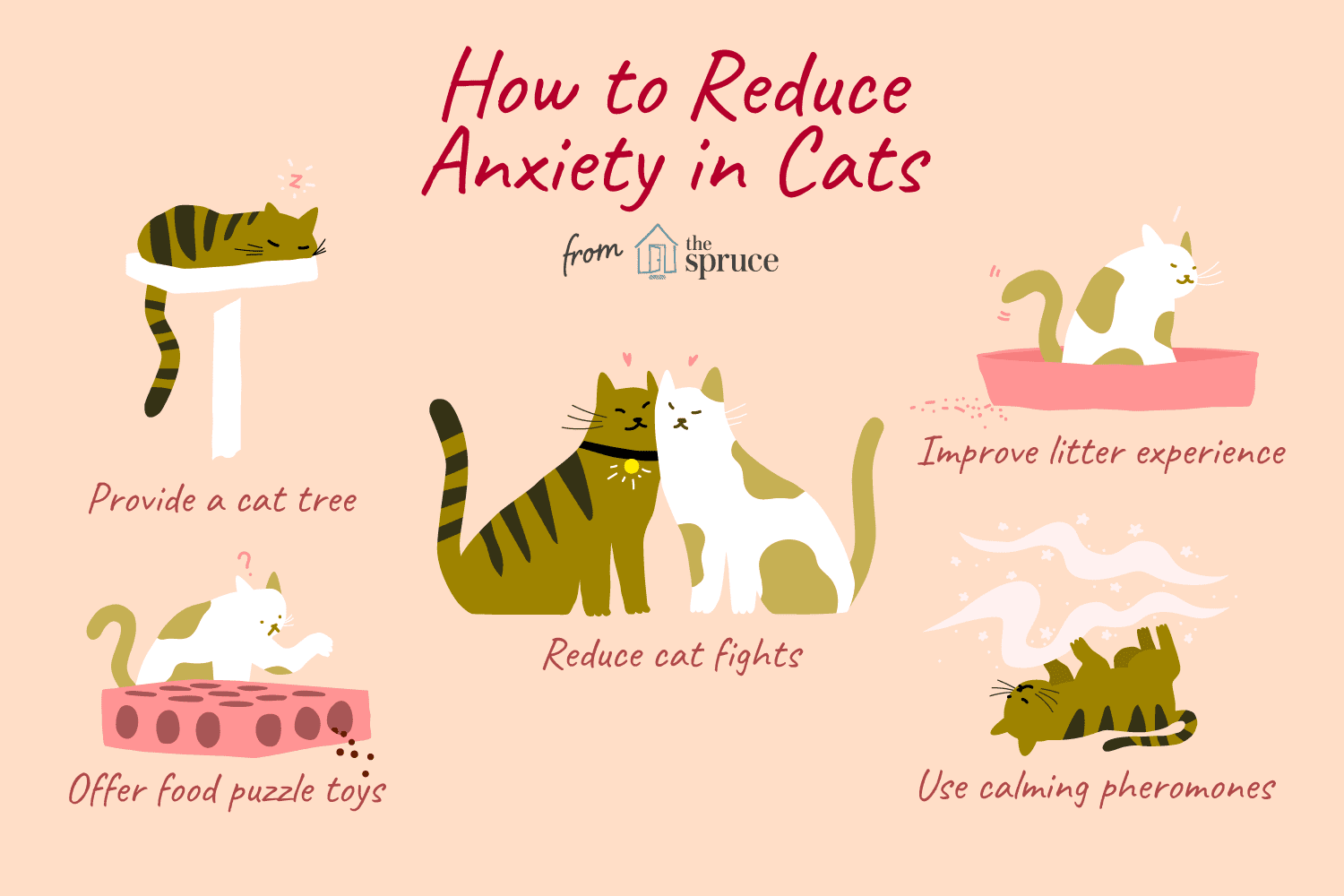 8 środków zmniejszających niepokój u kotów