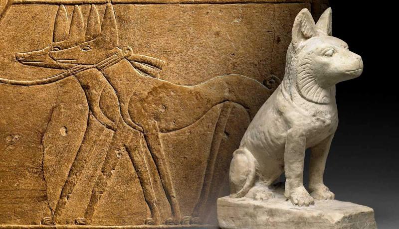 Psy i codzienne życie starożytnych Egipcjan