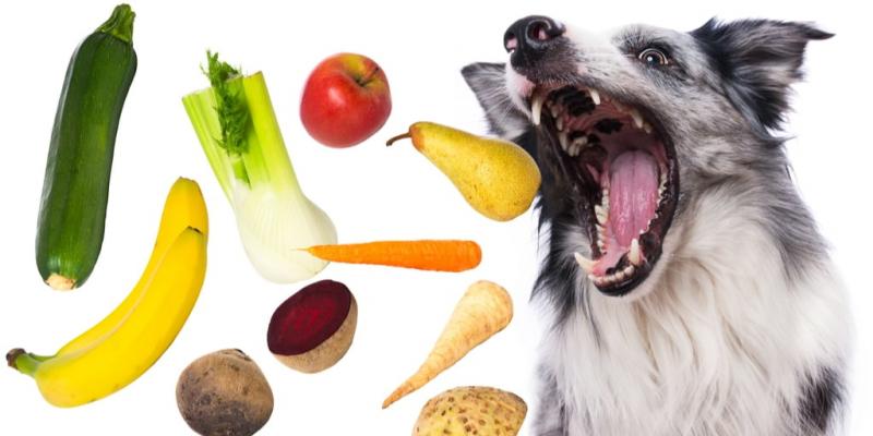 Dlaczego psy nie mogą jeść marakui?