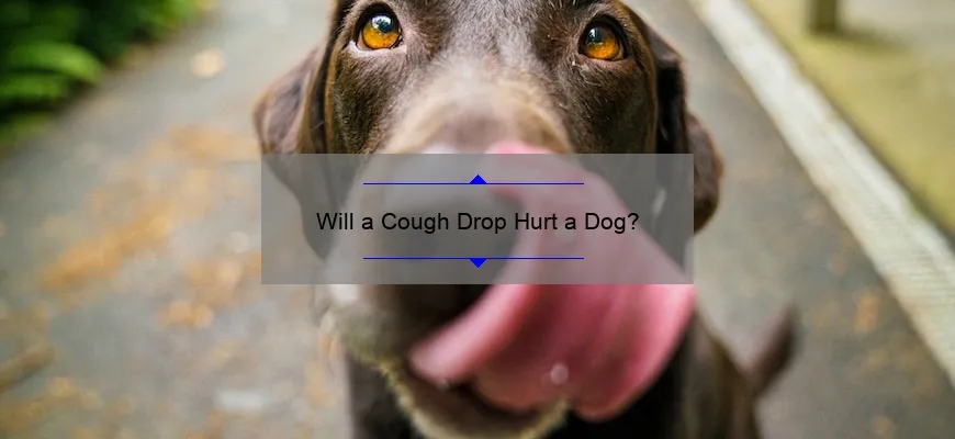 Jak bezpiecznie leczyć kaszel u psa?