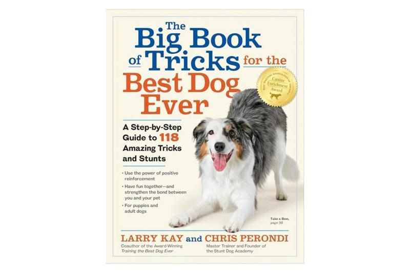 10 najlepszych książek o szkoleniu psów na ptaki