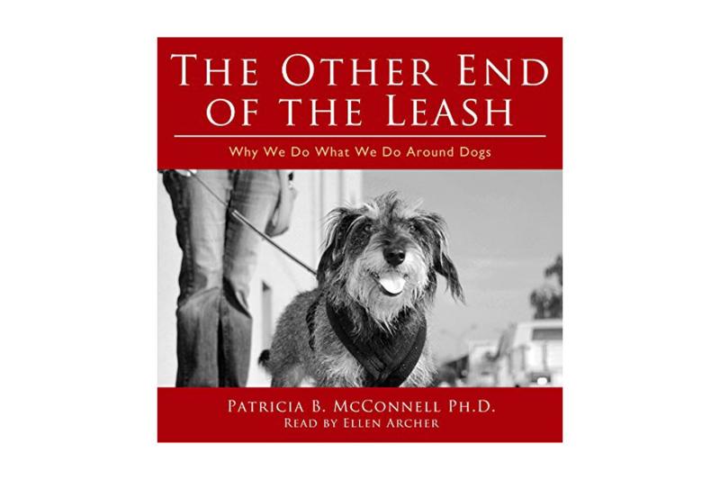 10 najlepszych książek o szkoleniu psów dla ratowników