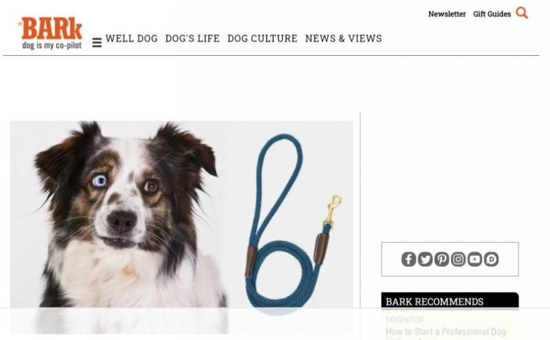 11 najpopularniejszych stron internetowych dla psów 2024: Zasoby dla każdego miłośnika psów