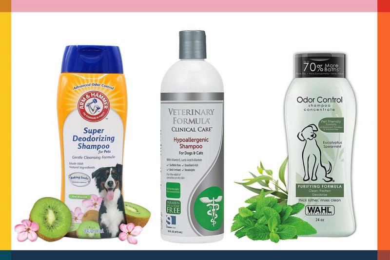 11 najlepiej pachnących szamponów dla psów