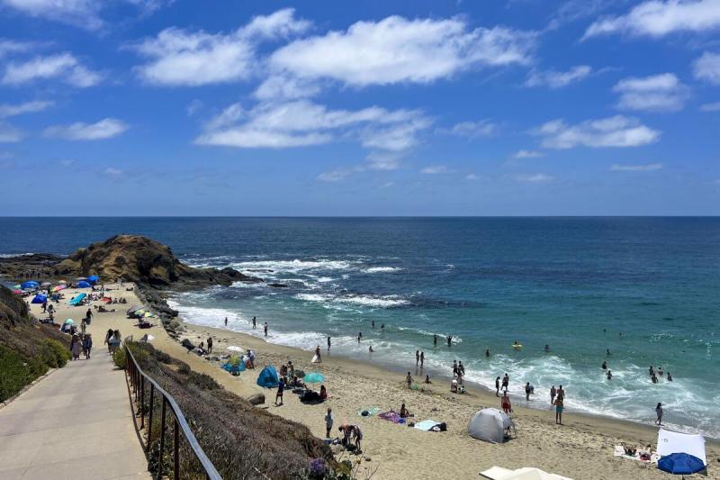 Czy Laguna Beach ma plażę dla psów bez smyczy?