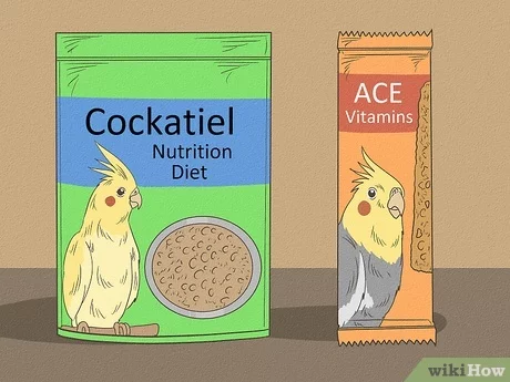 Czy kakadu mogą jeść brzoskwinie? Sprawdzone przez weterynarza informacje żywieniowe, które musisz znać!