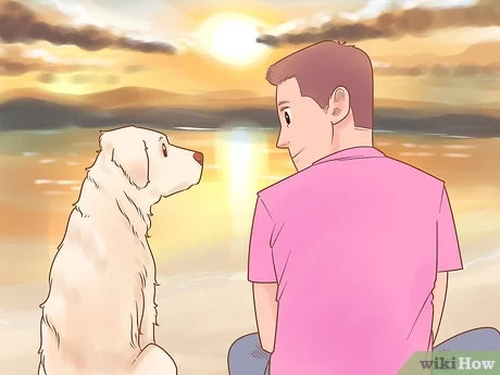 Jak psy wybierają swoją ulubioną osobę? 4 sposoby i wskazówki dotyczące więzi