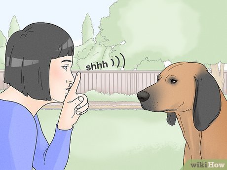 1. Twój pies myśli, że cię chroni