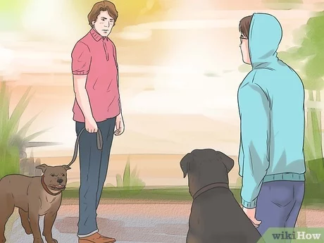 Jak powstrzymać psa przed szczekaniem na innych podczas spaceru: 9 wskazówek zatwierdzonych przez weterynarza
